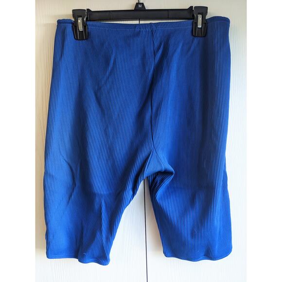 Vtg 1990s Active Elements Women's Blue Nylon Stretchy Ribbed Shorts Size L - Picture 2 of 3